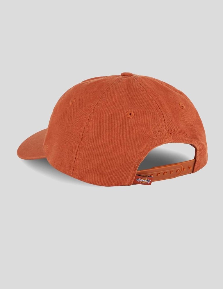 DICKS hardwick cap chocolay marrone cap